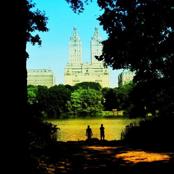 central park new york central park new york