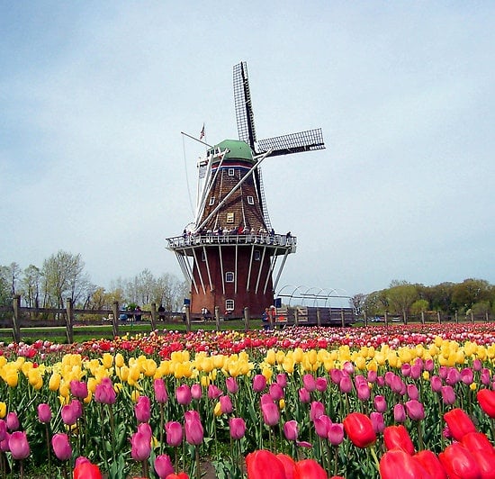 keukenhof gardens netherlands