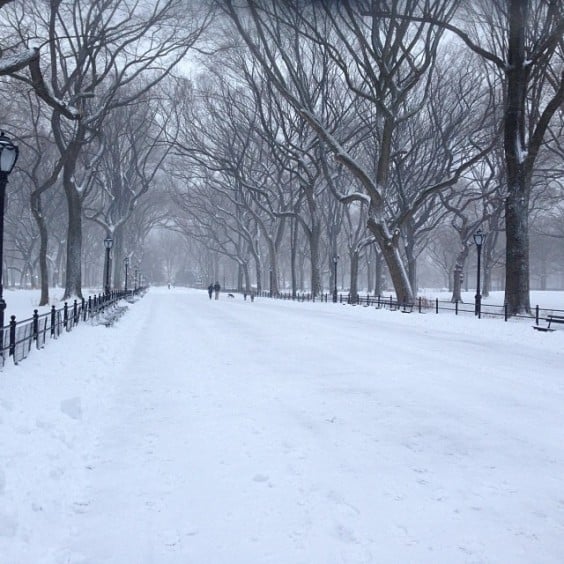 New York Covered in Snow