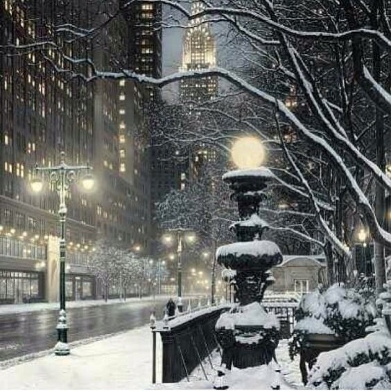 New York Covered in Snow