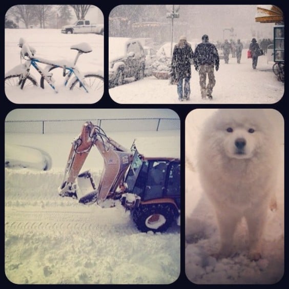 melhores imagens de nova iorque com neve