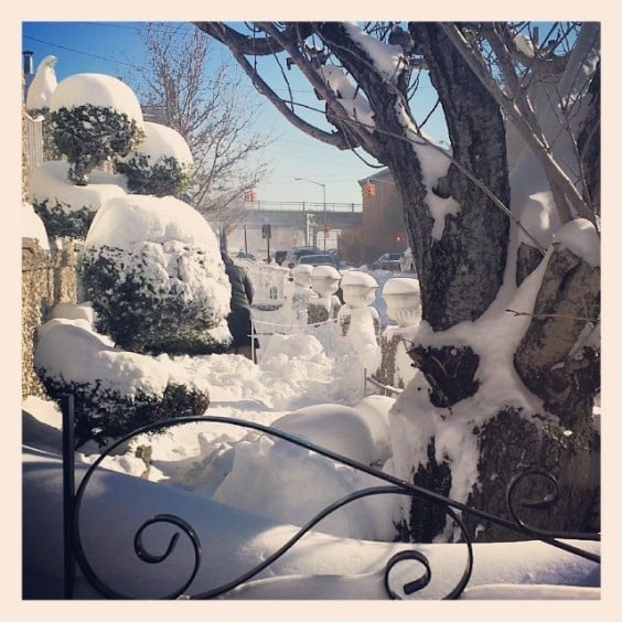 New York Covered in Snow