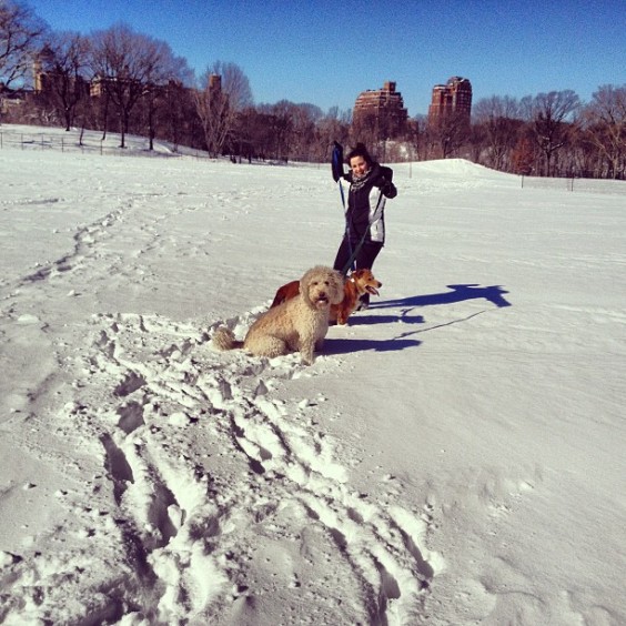 new york sous la neige