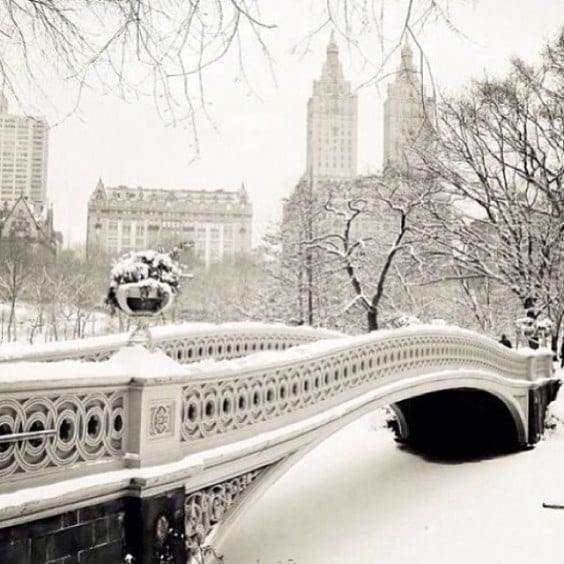 melhores fotos de nova iorque com neve