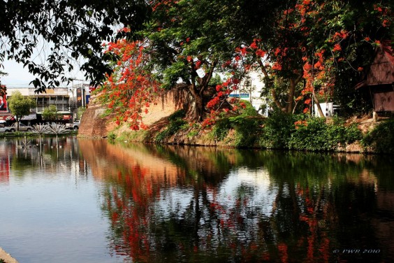 Fosso de Chiang Mai