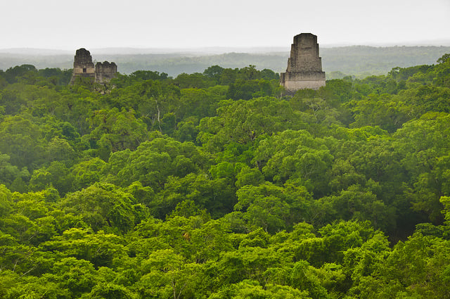 tikal 