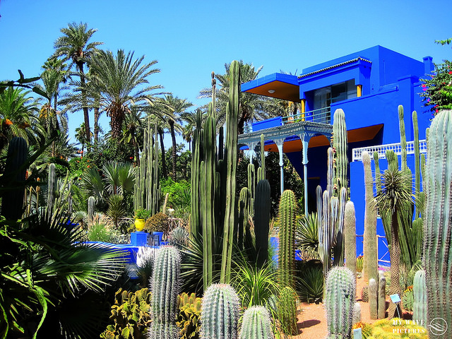 Jardin de Majorelle