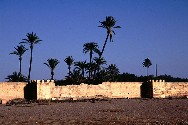 Palmeraie Marrakech