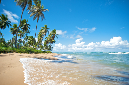 bahia, brésil