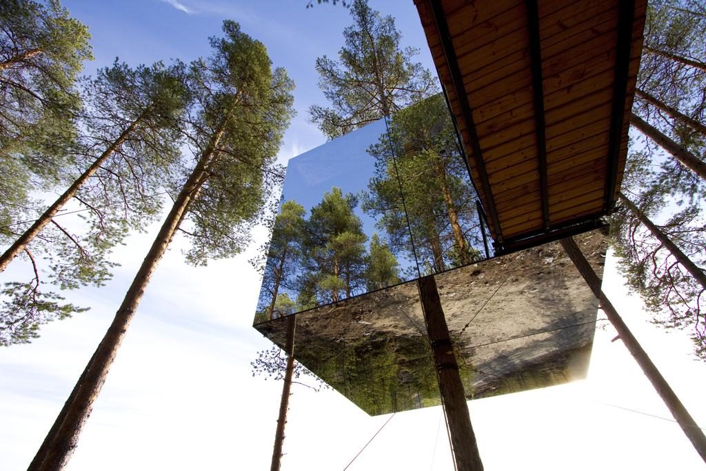 tree hotel Suède