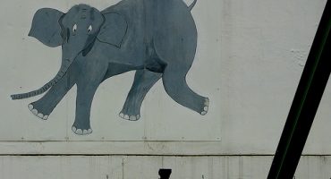 Tuffi, l’éléphant qui sauta du plus vieux monorail au monde