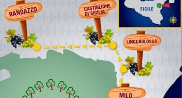 La route des vins: les vignobles de l’Etna