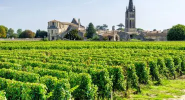 vignobles bordeaux