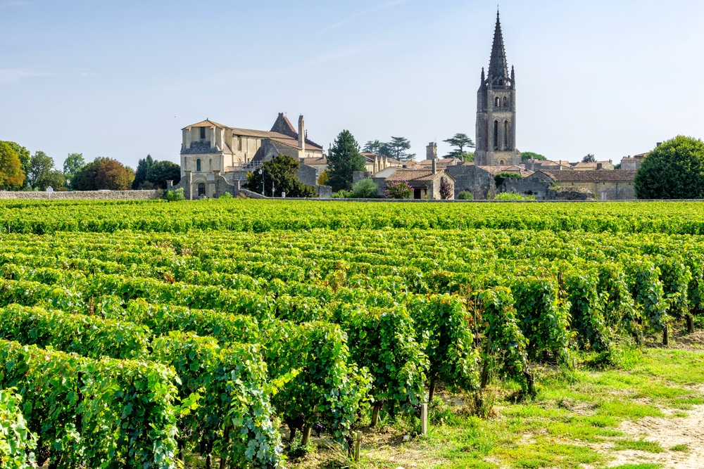 vignobles bordeaux