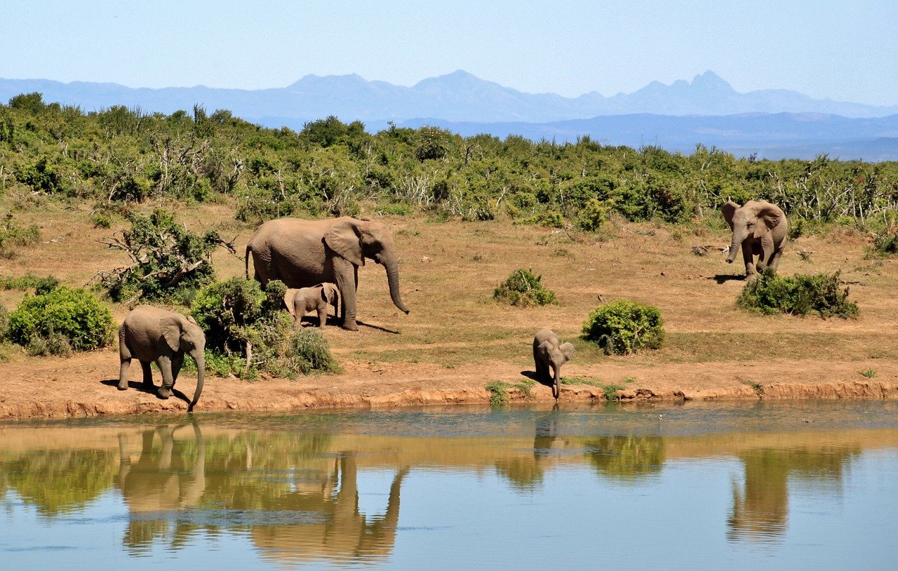 Afrique du Sud eDreams