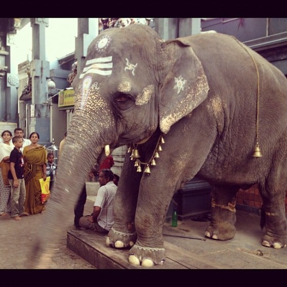 Pondichéry, Inde