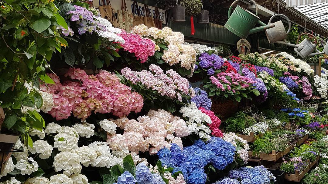 marché aux fleurs louis-lépine paris