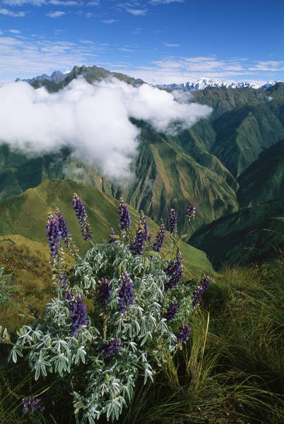 Vilcabamba, equateur