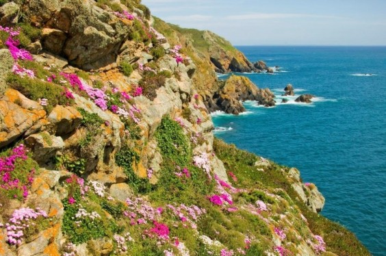 guernsey, angleterre