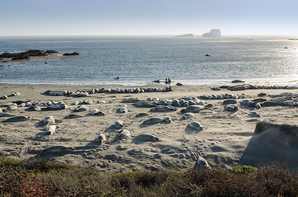 plage de piedras blancas eDreams