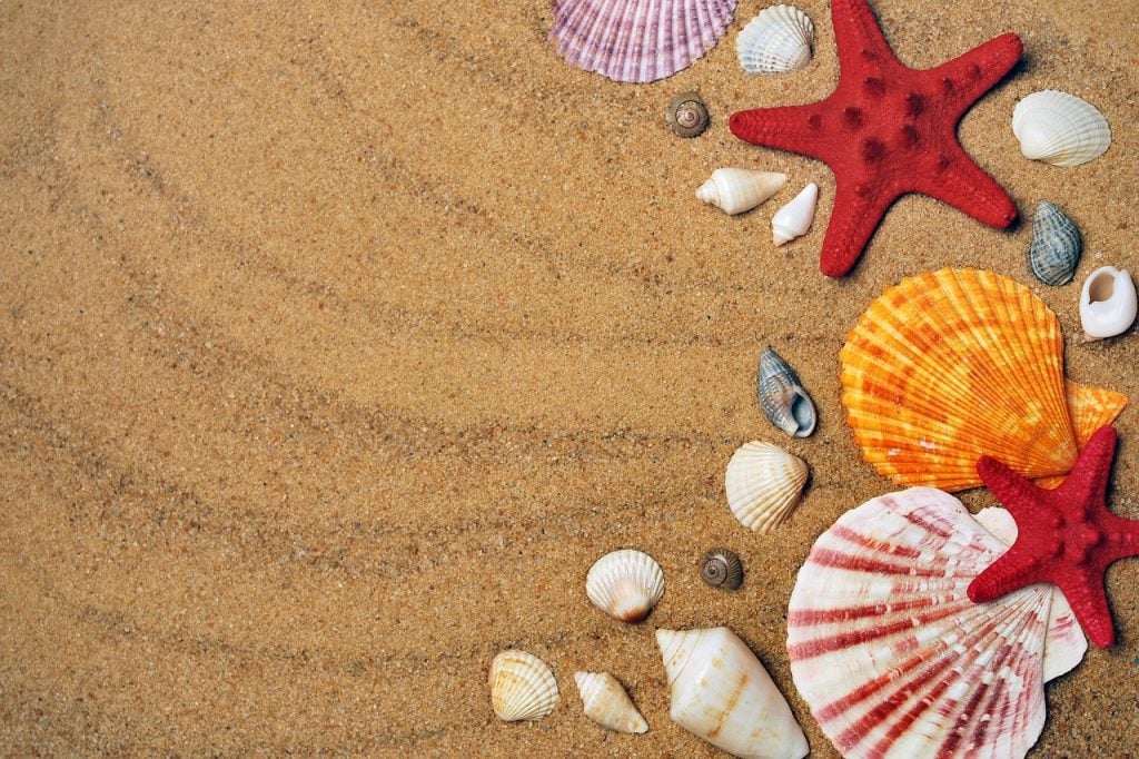 Plage eDreams