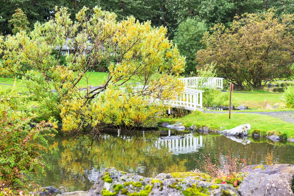 parc Laugardalur - blog eDreams