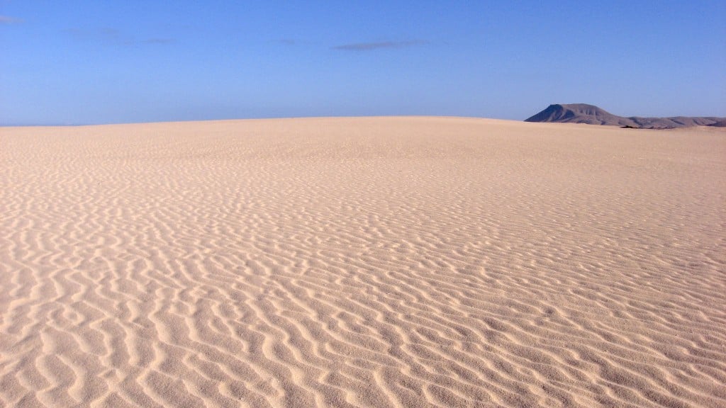 corralejo 