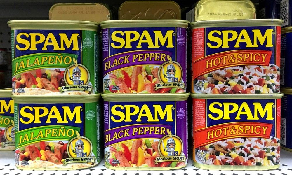 spam - blog eDreams