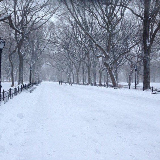 Central Park Nueva York 