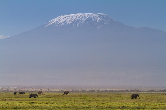 kilimandjaro