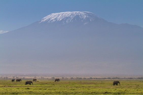 kilimandjaro