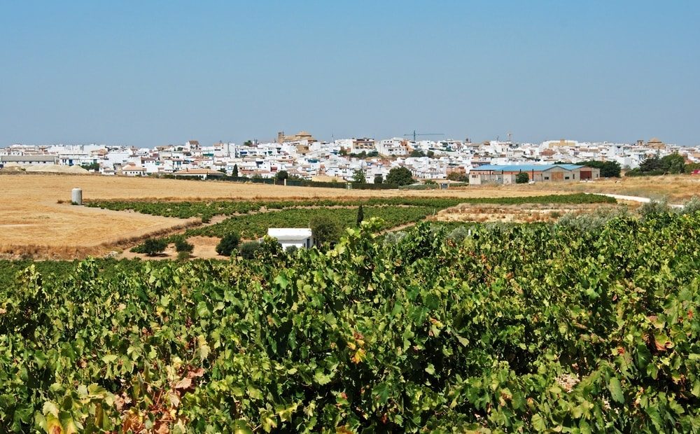 Montilla, Espagne - blog eDreams