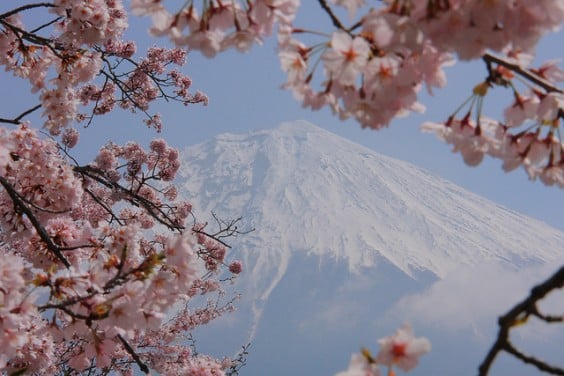 Monte fuji con cerezos en flor