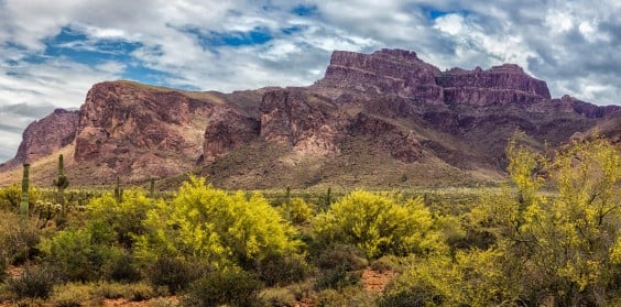 Montagne Goldfield Arizona