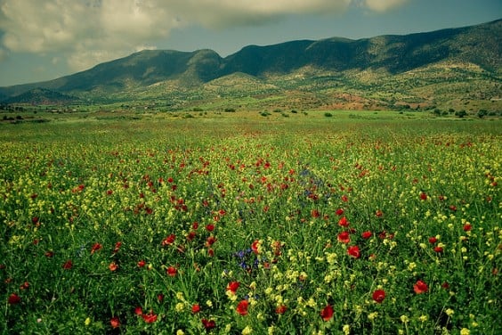 morocco spring