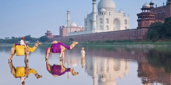 Taj Mahal 