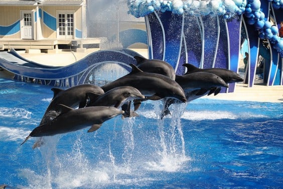 Sea World