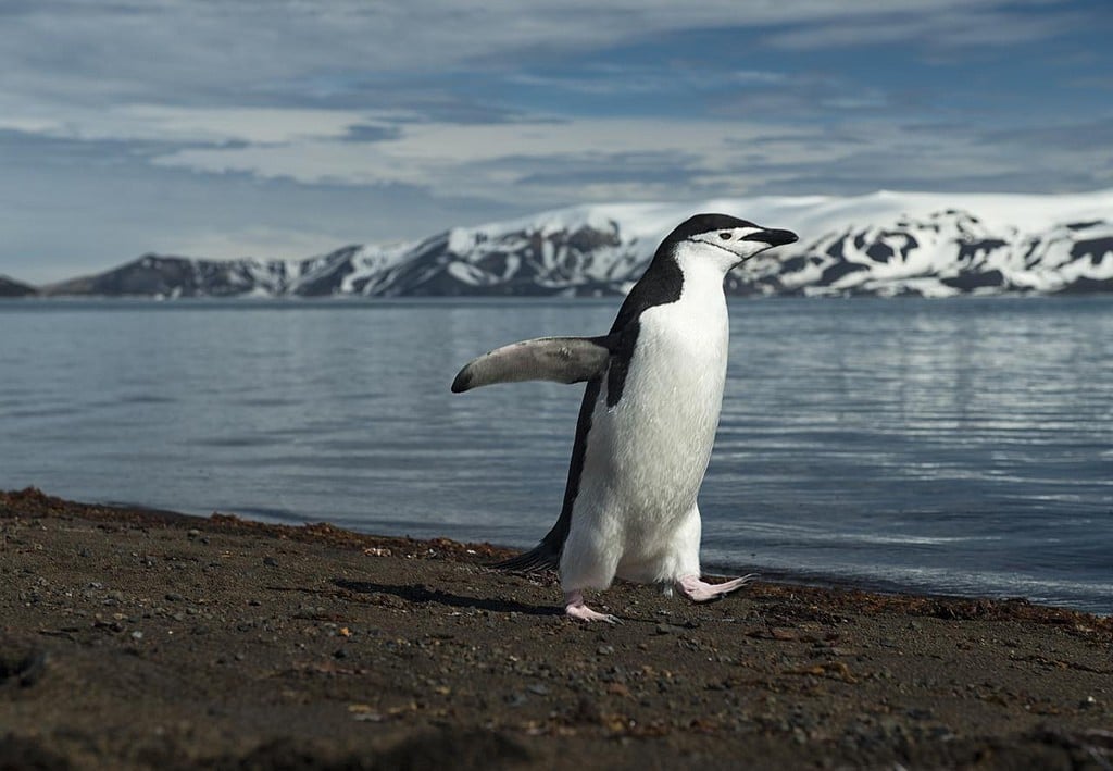 Deception Island