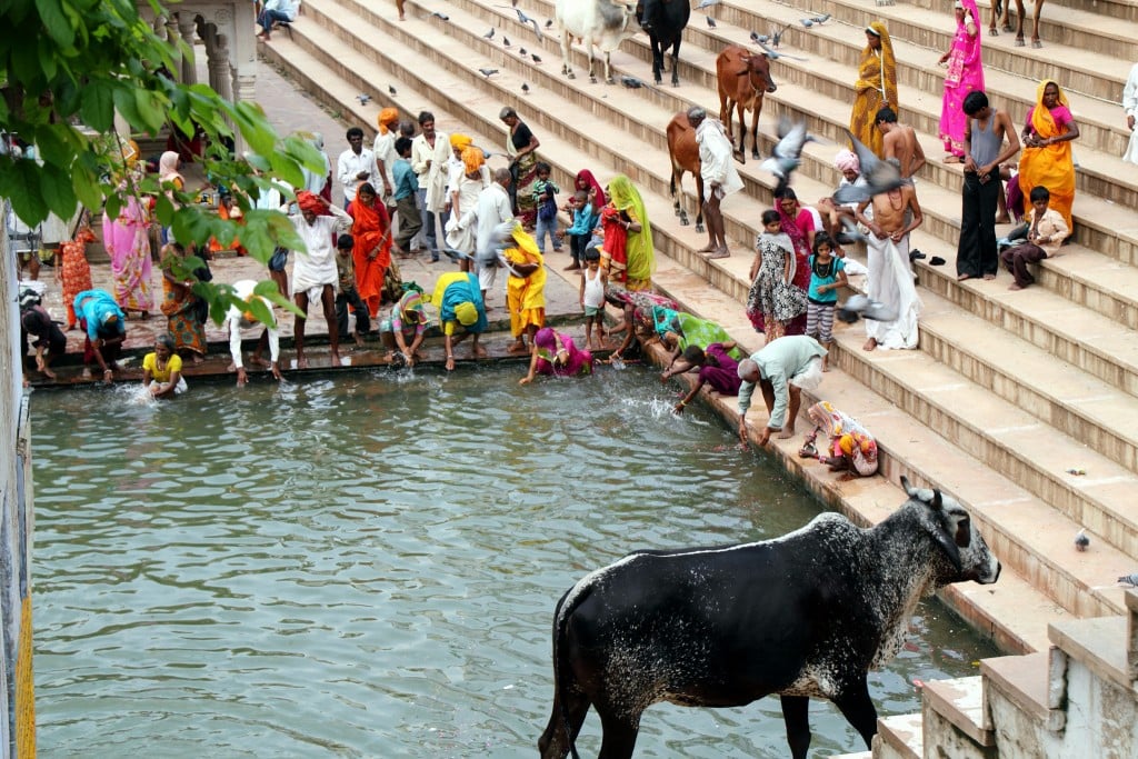 Pushkar India