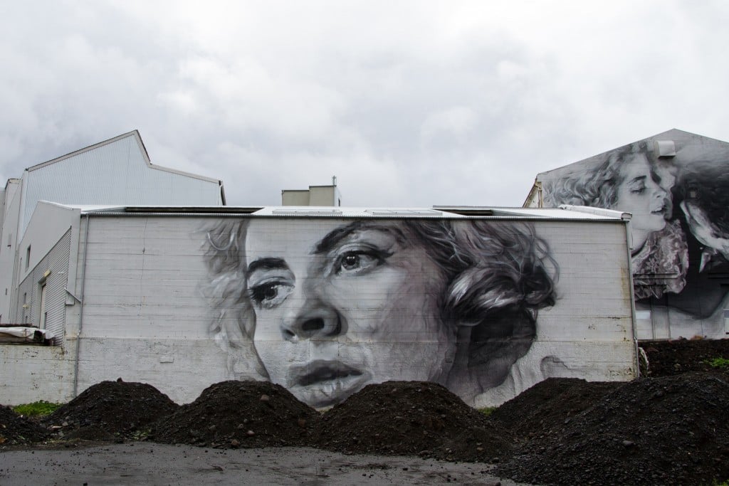 Reykjavik Street Art