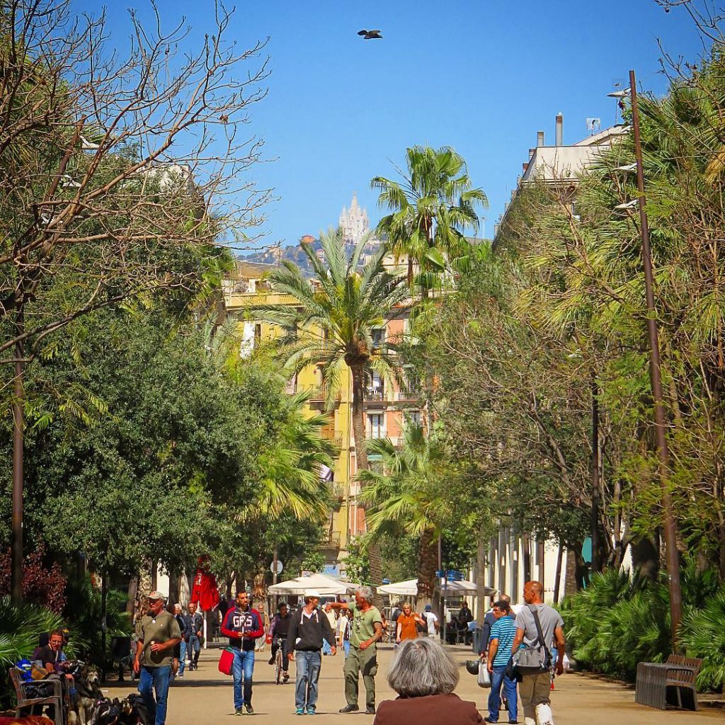 Visiter Barcelone notre guide complet des 30 choses à faire eDreams