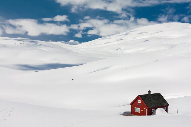 Désert neige Norvège