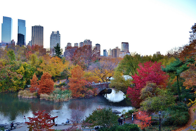 Central Park New York automne - blog eDreams