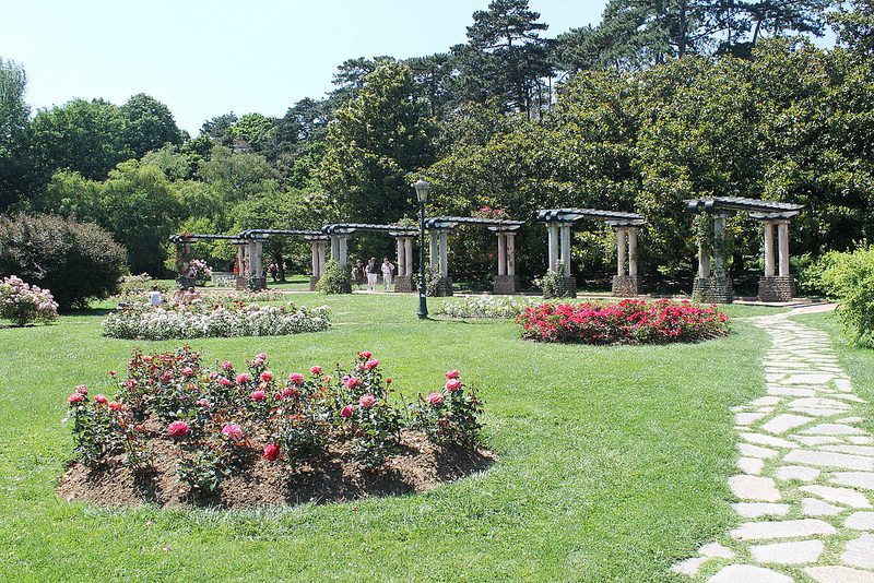 Parc de la Tête d'or la roseraie eDreams