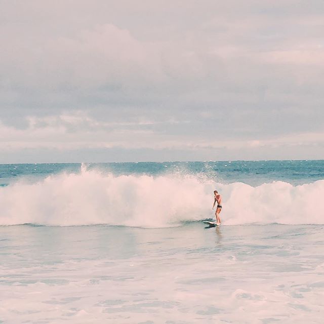 Hawaii Surf
