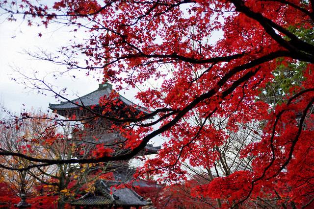 temple Kyoto automne - blog eDreams