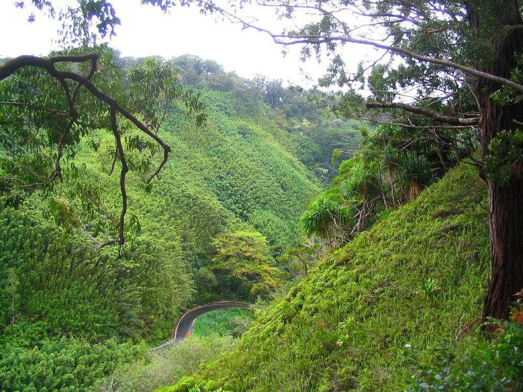 Hana Highway