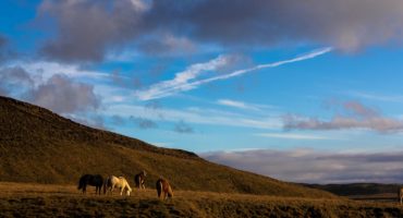 5 posts à lire avant de partir en Islande