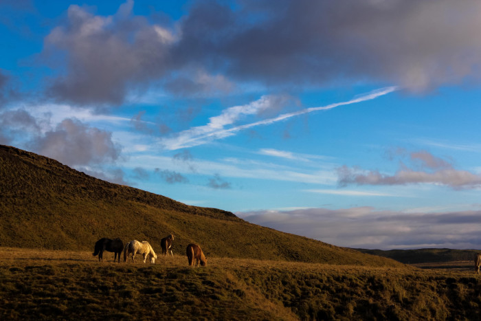 islande blog