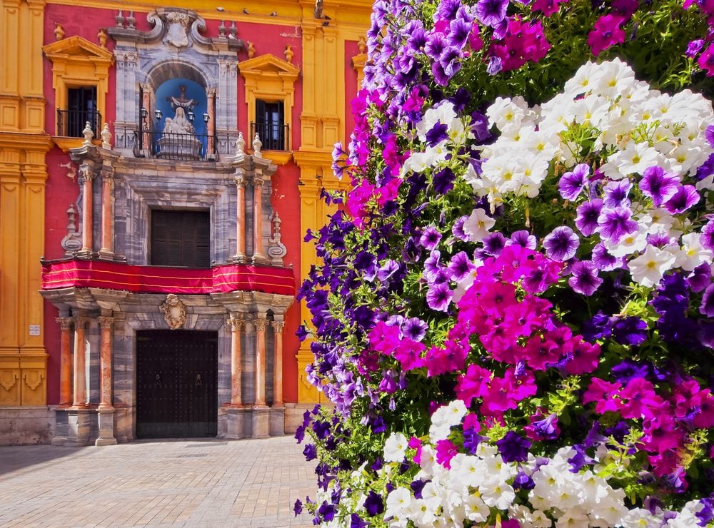 malaga
